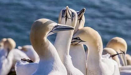 陪游跟导游的不同服务要求