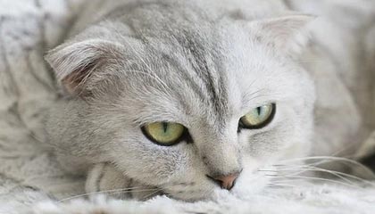 南漳伴游，定制QQ：3494206190微信：act1322